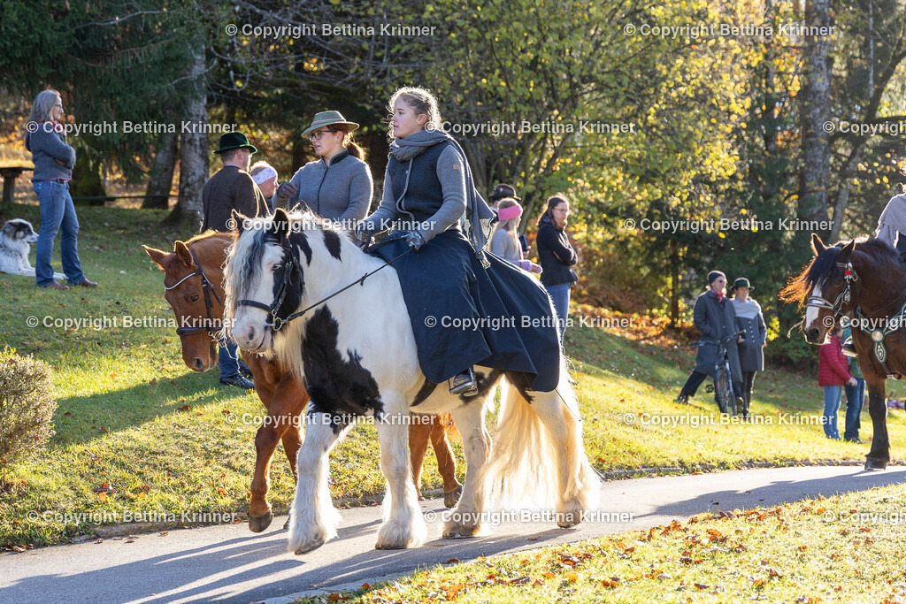 LL24-232 | foto-bettina-krinner - Realisiert mit Pictrs.com