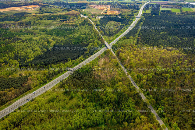 Schermbeck240402079UefterMark | Luftbild, Üfter Mark Waldgebiet mit Borkener Straße Bundesstraße B224 über die Autobahn A31 am Autobahnkreuz Schermbeck und Weseler Straße, hinten die Sandgrube Boer und Tagebau Hennewig, Altschermbeck, Schermbeck, Münsterland, Nordrhein-Westfalen, Deutschland