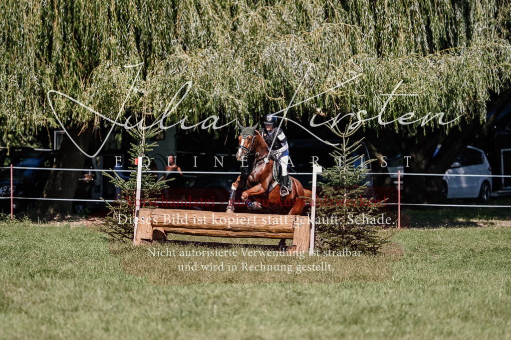 DSC_3163 | Pferde- und Turnierfotografie in Westsachsen. Pferdeportraits, Auftragszeichnungen und intuitive Kunst.