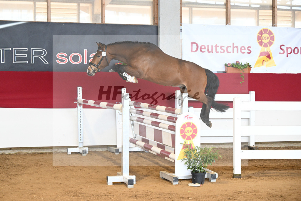 Kat-Nr. 41 Quinto v. Quintas_Brugger_7251180 | hf-fotografie - Realizzato con Pictrs.com