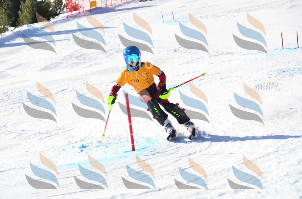 C6274 | holidayphoto