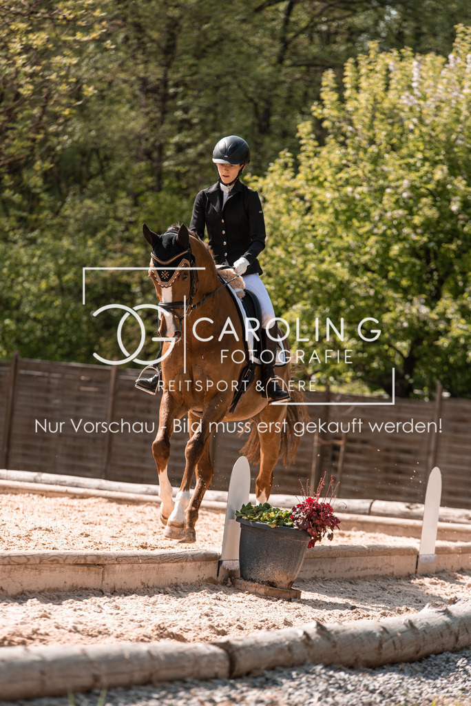 DSC_9947 | Turnierfotografin Carolin Gieschke, Turnierfotografie Carolin G Fotografie, Turnierfotos Kirchheim/Teck, Esslingen, Stuttgart, Bodenseekreis