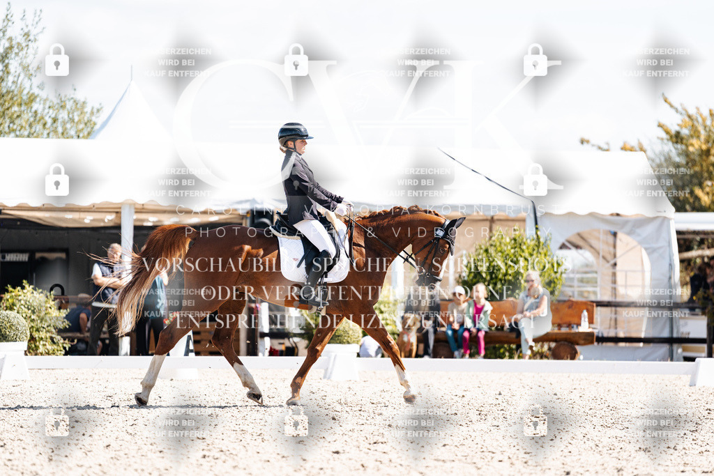CK902877 | Turnierfotografie Pferdefotografie Trier Rheinland-Pfalz Pferdesport Reitsport Tierfotografie Sportfotografie Pferdevideo Pferdevideografie Equestrianvideography equestrianphotography  - Realisiert mit Pictrs.com