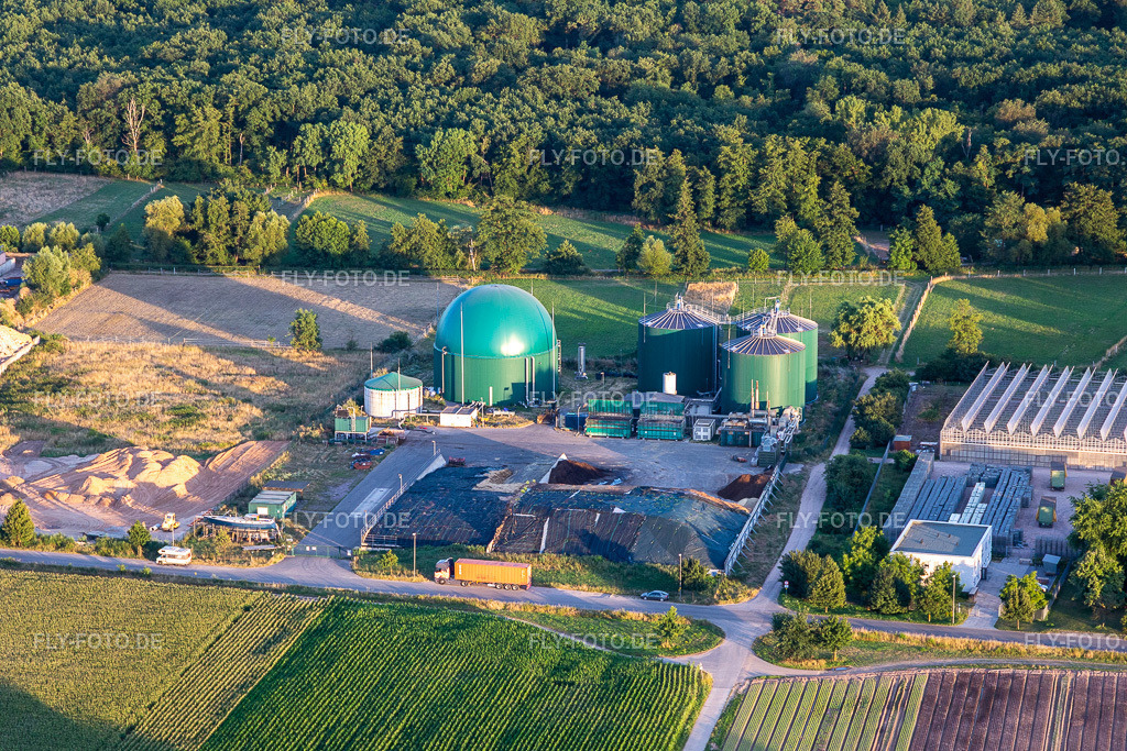 Rudolf Sinn Jungpflanzen GmbH & Co. KG https://www.sinn-lustadt.de/index.php | Luftbild: Rudolf Sinn Jungpflanzen GmbH & Co. KG https://www.sinn-lustadt.de/index.php im Ortsteil Niederlustadt in Lustadt im Bundesland Rheinland-Pfalz in Deutschland. Foto: IMG_133578.jpg vom 12.07.2022 durch ©2025 Werner Riehm fly-foto.de/copyright - Realisiert mit Pictrs.com