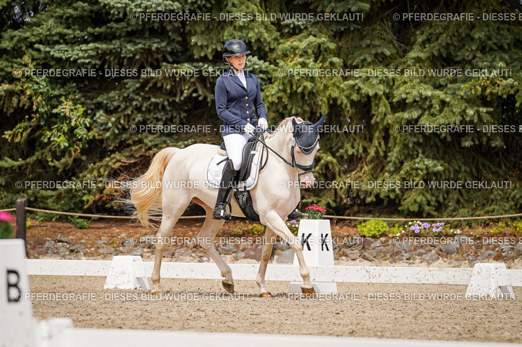 DSC04379 | Pferdegrafie