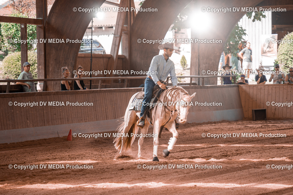 NE201016 | dv-media-shop - Realisiert mit Pictrs.com