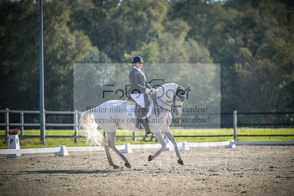 DOS_0371 | Entdecke hochwertige Reitturnierfotos von Foto Oger. Professionell, emotional und authentisch – jetzt Lieblingsmomente im Shop bestellen.Deutschlandweite Turnierfotografie. - Realisiert mit Pictrs.com