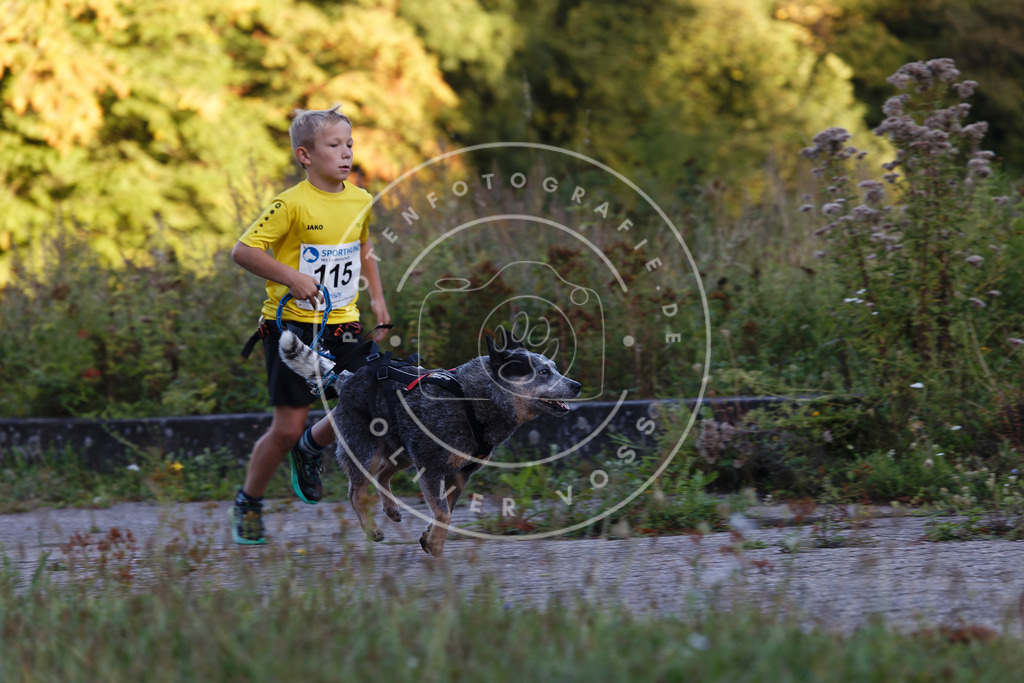 0L8A4338 | Hundefotografie, Tierfotograf, Pfotenfotografie, Fotoshooting Hund, Hunde Portrait, Hundesport, Hundeportraits, Heideshooting, Hunde, Sportfotograf, Hundefotograf, Turnierhundsport, THS,  - Realisiert mit Pictrs.com