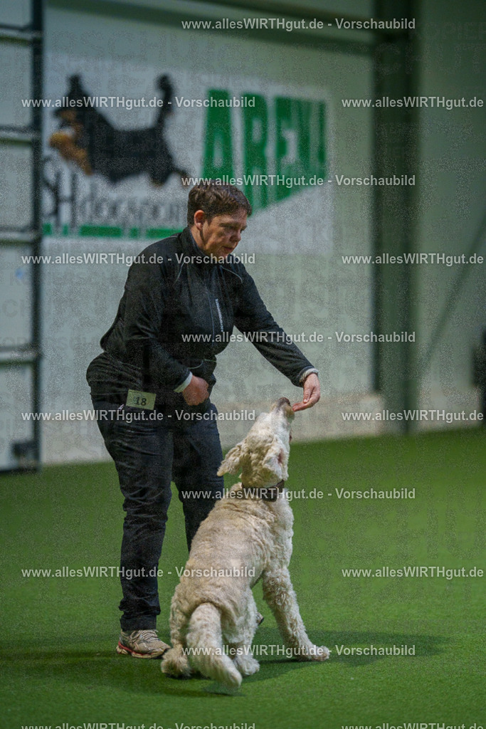 7R500817 | Professionelle Tierfotografie in Mönchengladbach von Daniel Wirth (allesWIRTHgut). Liebevolle & natürliche Bilder von Hunden & Katzen für unvergessliche Erinnerungen.