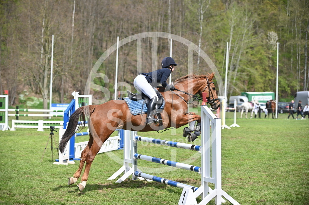 DSC_1870 | sattelsport - Realisiert mit Pictrs.com