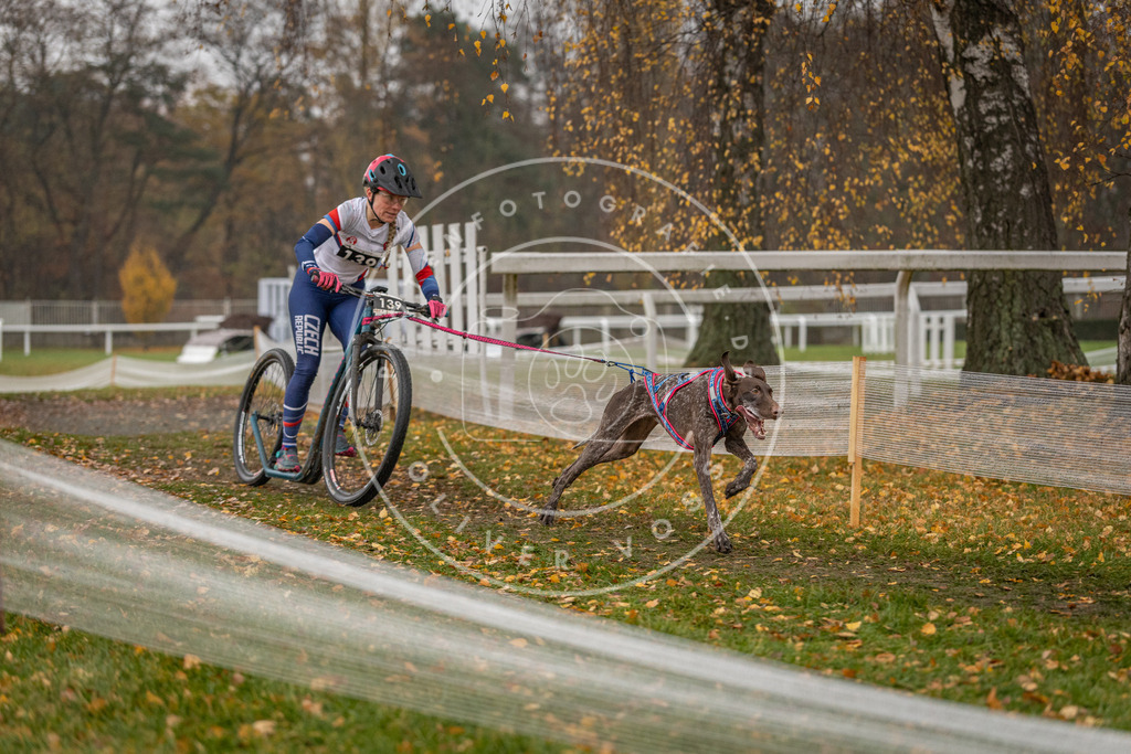 CaniXpix_DV3A7919 | Hundefotografie, Tierfotograf, Pfotenfotografie, Fotoshooting Hund, Hunde Portrait, Hundesport, Hundeportraits, Heideshooting, Hunde, Sportfotograf, Hundefotograf, Turnierhundsport, THS,  - Realisiert mit Pictrs.com