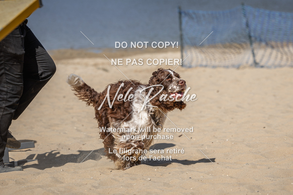 nelerasche_saBeachility_338 | nelerasche