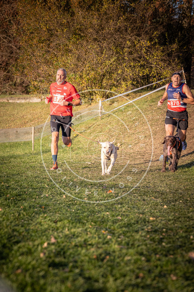 CaniXpix_0L8A1140 | Hundefotografie, Tierfotograf, Pfotenfotografie, Fotoshooting Hund, Hunde Portrait, Hundesport, Hundeportraits, Heideshooting, Hunde, Sportfotograf, Hundefotograf, Turnierhundsport, THS,  - Realisiert mit Pictrs.com