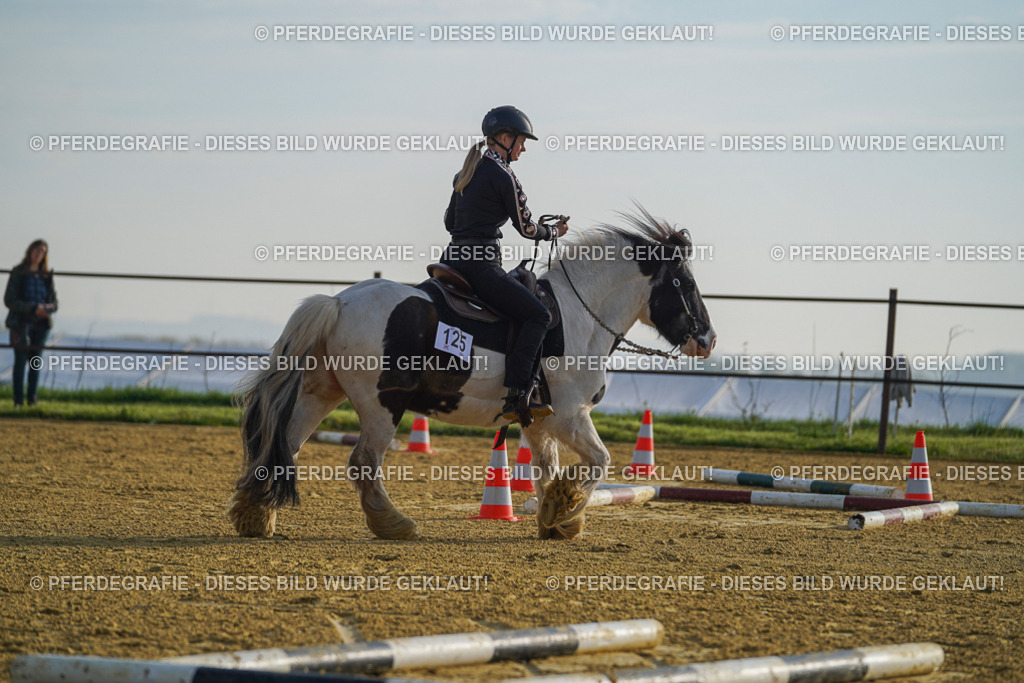 DSC00188 | Pferdegrafie