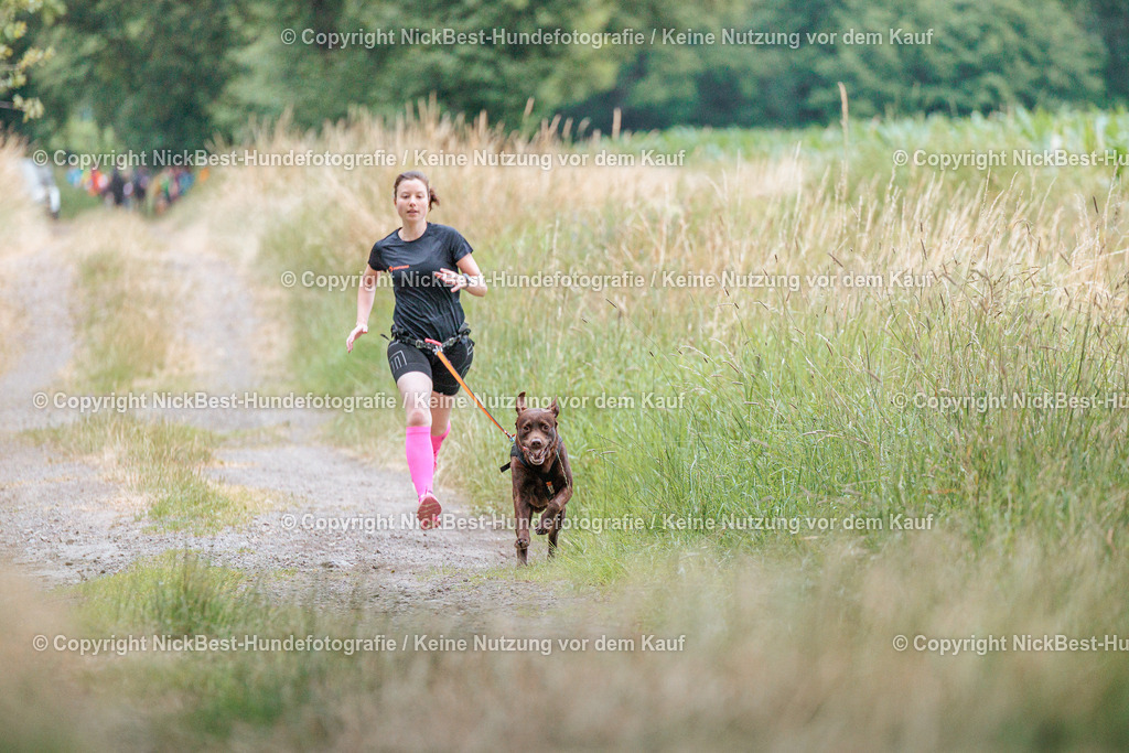 THS-Quakenbrück-2026-Nickbest-Hundefotografie-0507 | Dein Hund! Dein Moment! Deine Erinnerungen! Hundefotografie in Bremen Blumenthal. Ich fange die besonderen Momente deines Vierbeiners ein – ob Indoor mit Blitzanlage oder in der freien Natur. Sicher dir dein Moment und dein Termin für eure Erinnerungen.