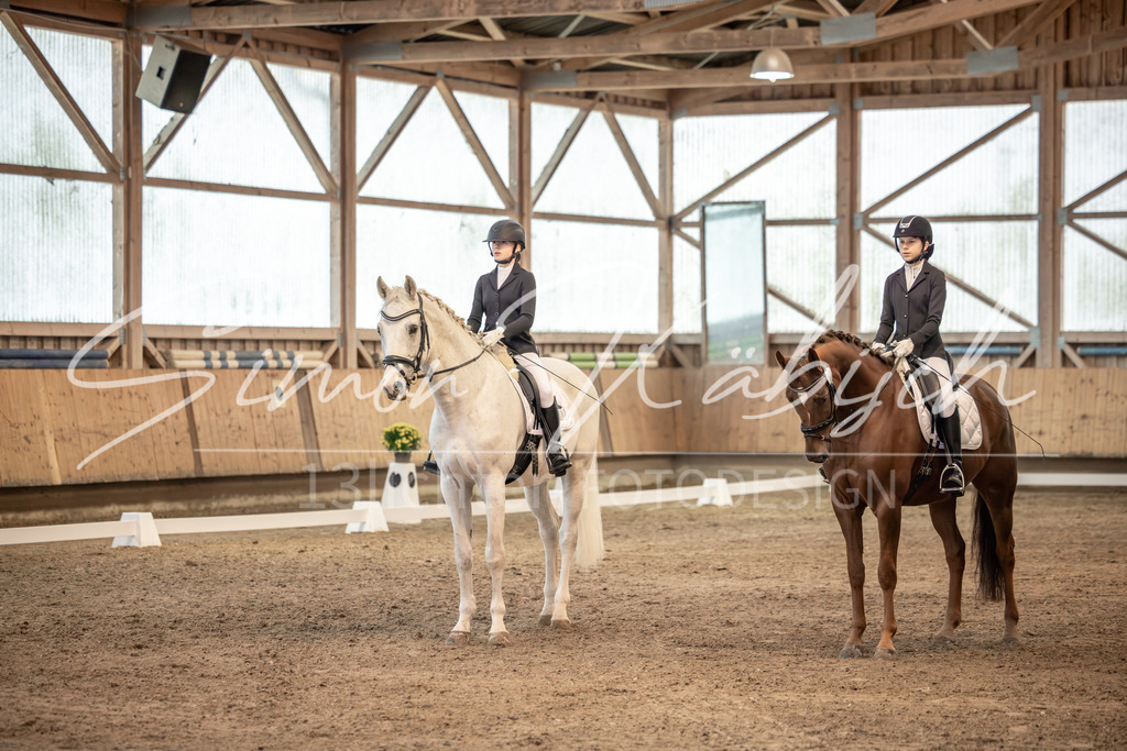 20251011-_3LI5768 | Tierfotografie Pferde, Hunde, Katzen, Haustiere.
Turnierfotografie Reitturniere, Reiten, Springreiten, Dressur in Hanau, dem Main-Kinzig-Kreis und dem Rhein-Main- Gebiet um Frankfurt