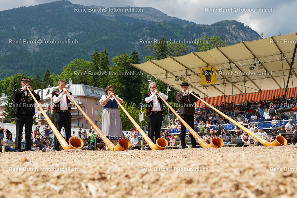 DSC00407 | René Burch leidenschaftlicher Fotograf aus Kerns in Obwalden.  Hier finden sie Sport, Landschaft und Natur Fotografie.
 - Realisiert mit Pictrs.com