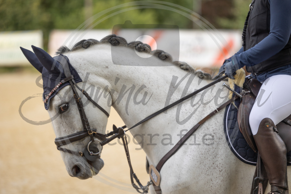 994A7178 | sabrinanicolaifotografie - Realisiert mit Pictrs.com