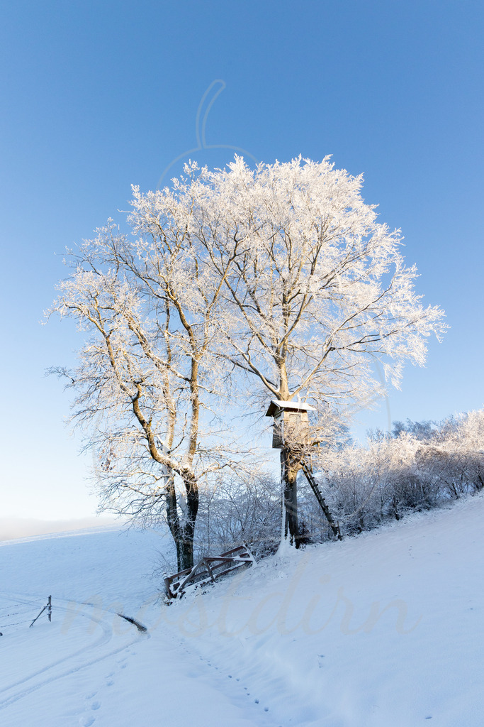 Hochstand im Winterkleid | Ihre Fotografin im Lungau, ihre Fotografin im Mostviertel, Wandbilder Onlineshop, Imagefotos für Ihr Unternehmen,  - Realisiert mit Pictrs.com