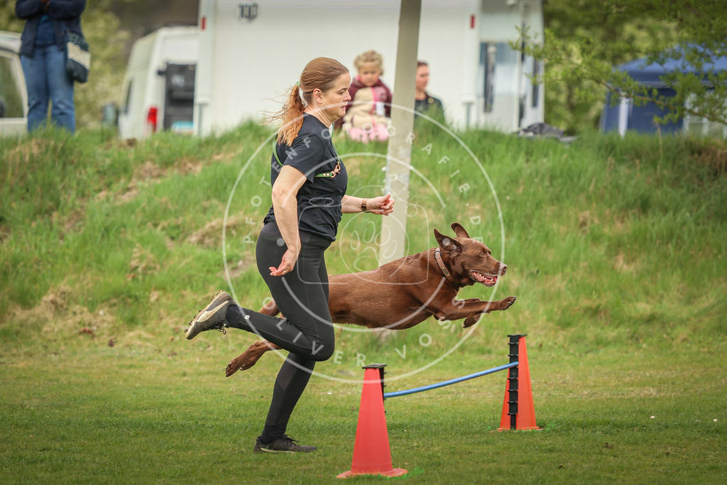 Pfotenfotografie_0L8A1107 | Hundefotografie, Tierfotograf, Pfotenfotografie, Fotoshooting Hund, Hunde Portrait, Hundesport, Hundeportraits, Heideshooting, Hunde, Sportfotograf, Hundefotograf, Turnierhundsport, THS,  - Realisiert mit Pictrs.com