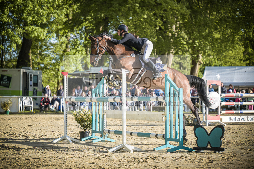 DOS_4462 | Entdecke hochwertige Reitturnierfotos von Foto Oger. Professionell, emotional und authentisch – jetzt Lieblingsmomente im Shop bestellen.Deutschlandweite Turnierfotografie. - Realisiert mit Pictrs.com