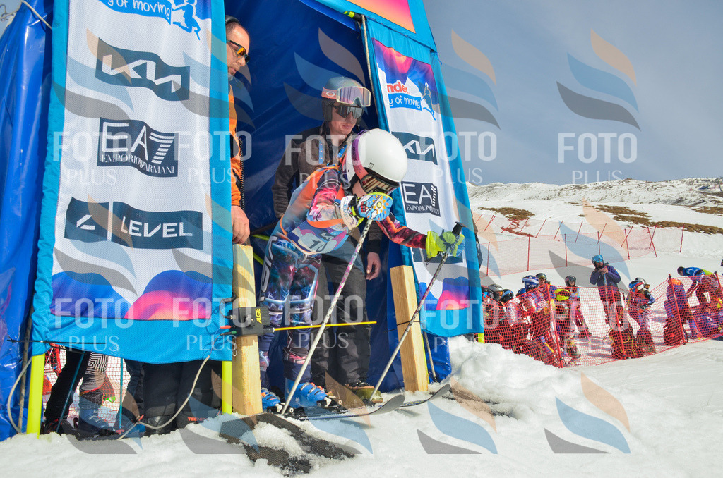 _ELE4544 | holidayphoto