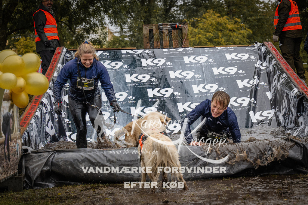 1113_ZZ92231 | kk-dogfotos