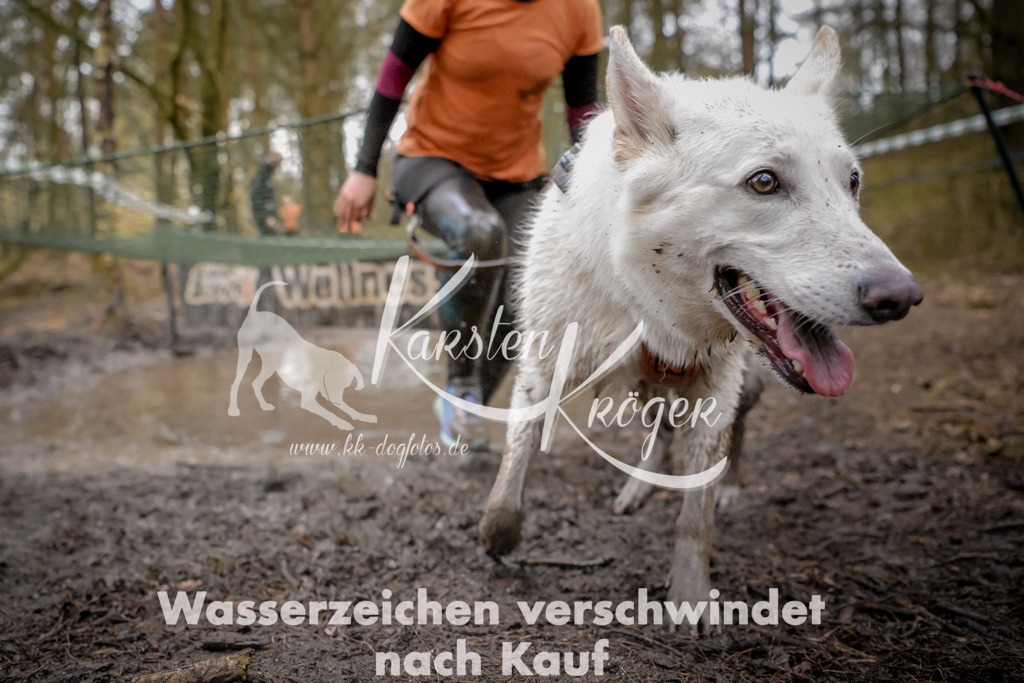 0921_ZZ97477 | kk-dogfotos
