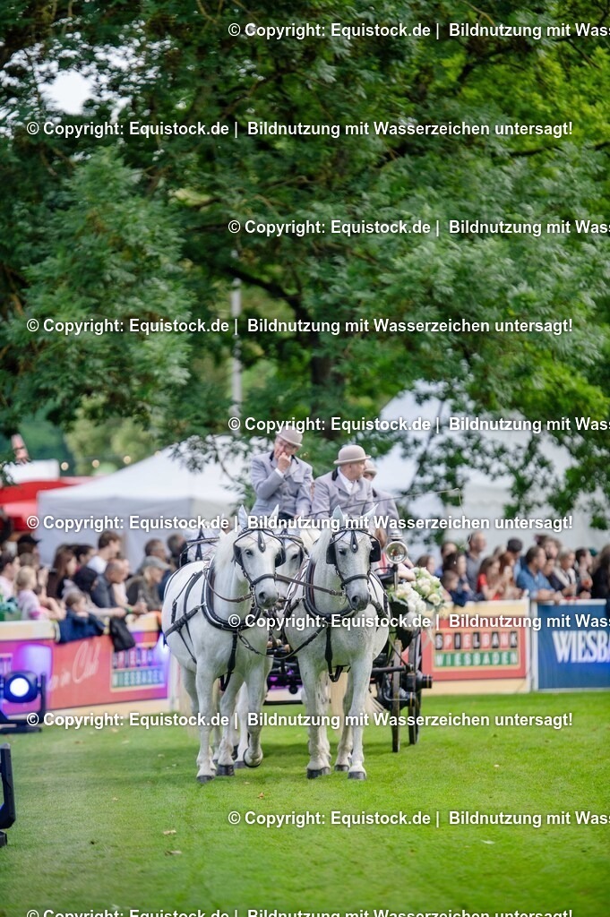 20250606_Lange-Pferdenacht_0208 | Foto: Thomas Hartig