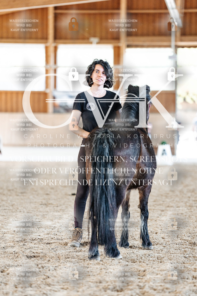 CK906891 | Turnierfotografie Pferdefotografie Trier Rheinland-Pfalz Pferdesport Reitsport Tierfotografie Sportfotografie Pferdevideo Pferdevideografie Equestrianvideography equestrianphotography  - Realisiert mit Pictrs.com