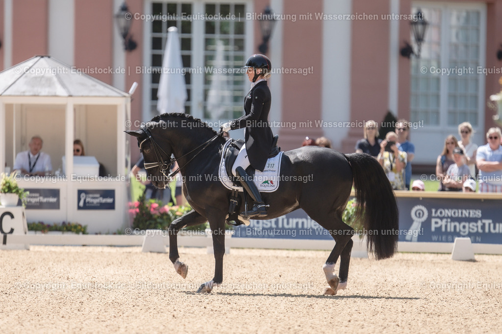 20230528_03_GP-Special-Tour_0263 | equistock