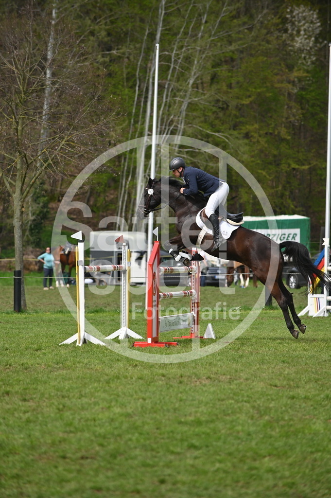 DSC_3912 | sattelsport - Realisiert mit Pictrs.com