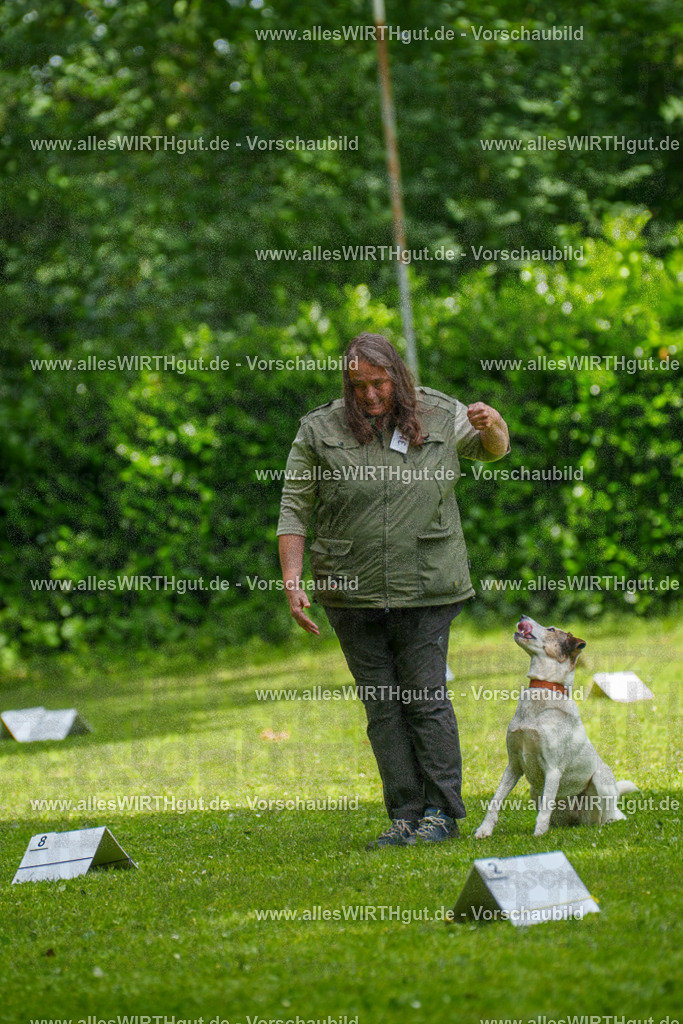 @allesWIRTHgut_Tierfotografie - www.allesWIRTHgut.de - 7R504323 | Professionelle Tierfotografie in Mönchengladbach von Daniel Wirth (allesWIRTHgut). Liebevolle & natürliche Bilder von Hunden & Katzen für unvergessliche Erinnerungen.