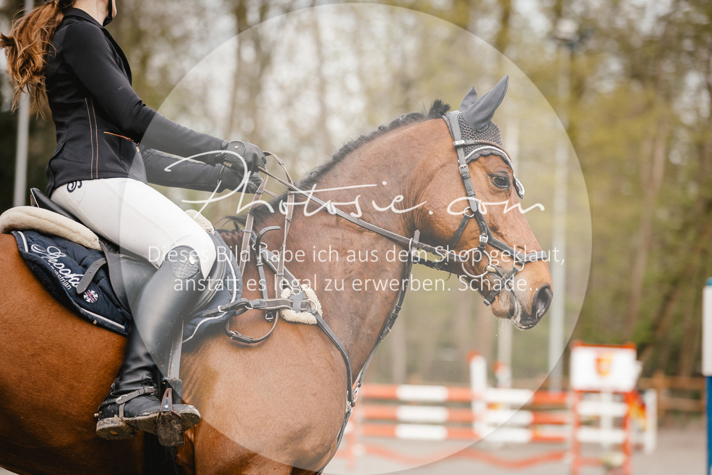3I6A3168 | Stimmungsvolle Portraits und Reitsportfotografie im Ruhrgebiet und im Münsterland.

Pferdefotografie, Hundefotografie, Tierfotografie, Reportagen, Portraits von Tier und Mensch, Turnierfotografie in Bochum, Recklinghausen, Marl, Haltern am See, Dülmen.. - Realisiert mit Pictrs.com