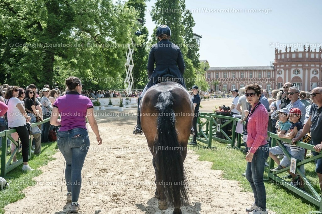 20230527_01_GP-Kür-Tour_0260 | equistock
