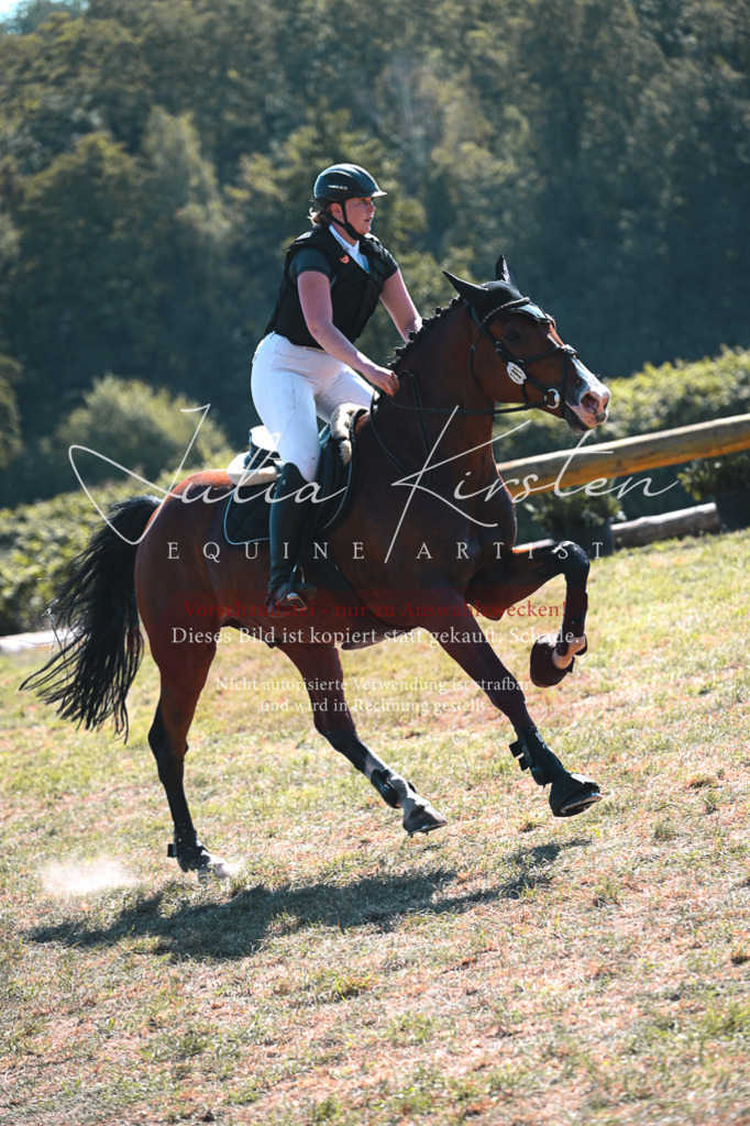DSC_8141 | Pferde- und Turnierfotografie in Westsachsen. Pferdeportraits, Auftragszeichnungen und intuitive Kunst.