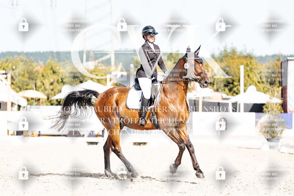 CK905733 | Turnierfotografie Pferdefotografie Trier Rheinland-Pfalz Pferdesport Reitsport Tierfotografie Sportfotografie Pferdevideo Pferdevideografie Equestrianvideography equestrianphotography  - Realisiert mit Pictrs.com