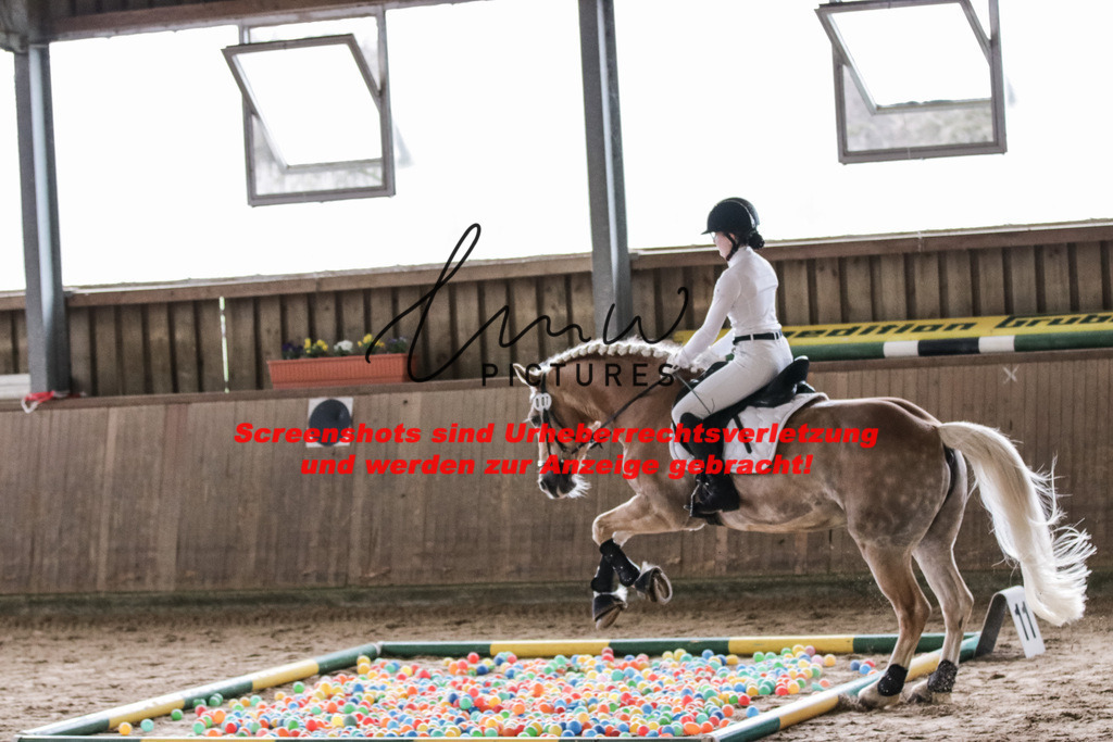 IMG_1733 | lmwpictures - Realisiert mit Pictrs.com