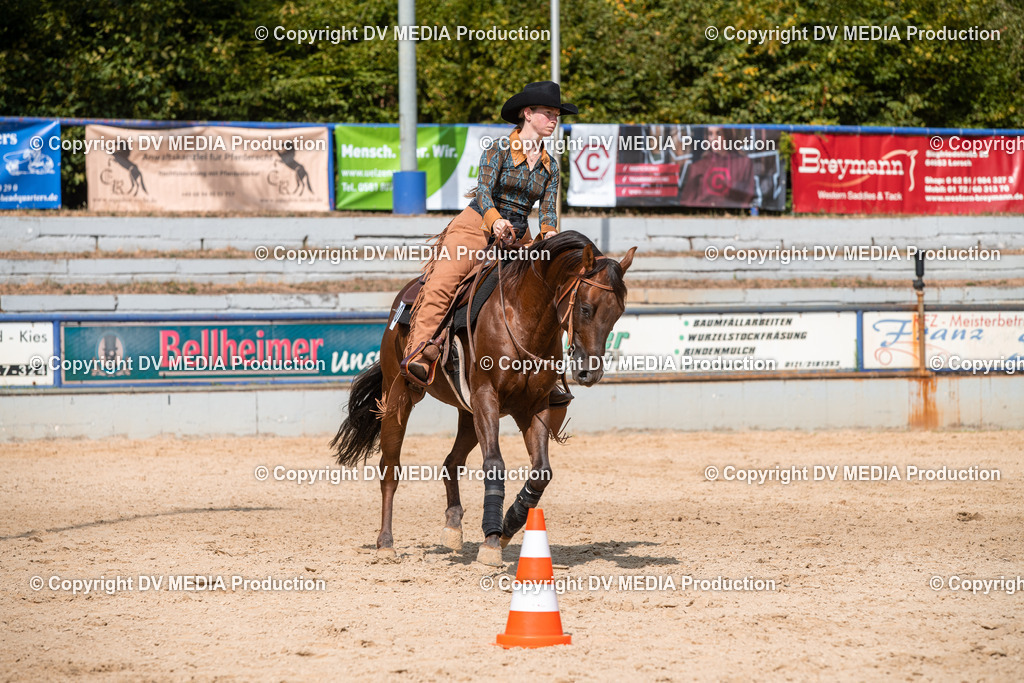 EWP_5998 | dv-media-shop - Realisiert mit Pictrs.com