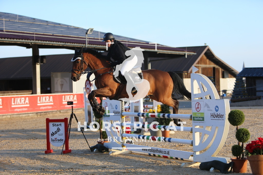 DL2Q7670 | Willkommen bei Brunnmayr - Design & Fotografie – Ihrem Spezialisten für Reitturniere und Pferdeveranstaltungen in Oberösterreich, Salzburg und Bayern! Seit über 17 Jahren sind wir leidenschaftlich dabei.