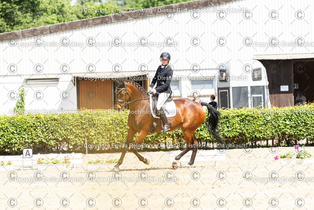 CL5A3846-2 | Emilia Reinking Fotografie - Realisiert mit Pictrs.com