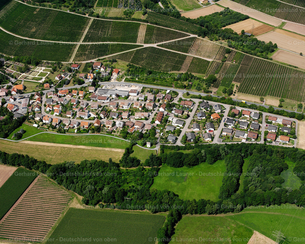2501616 | Weinberge bei Pfaffenhofen