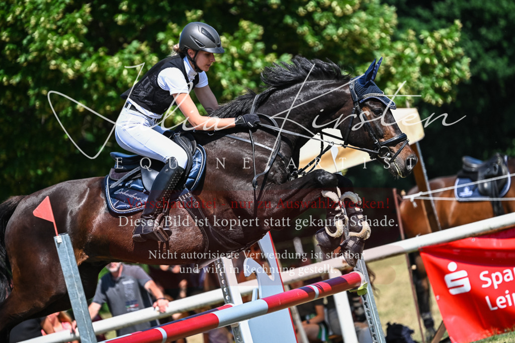 DSC_1129 | Pferde- und Turnierfotografie in Westsachsen. Pferdeportraits, Auftragszeichnungen und intuitive Kunst.