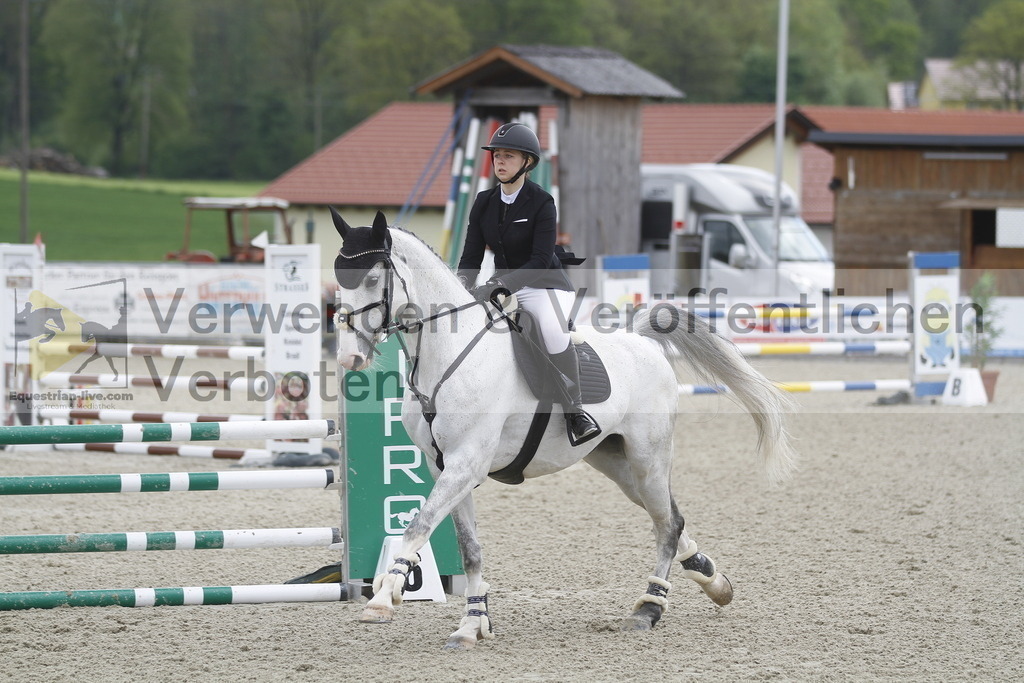 _MG_1770 | equestrian-live-com