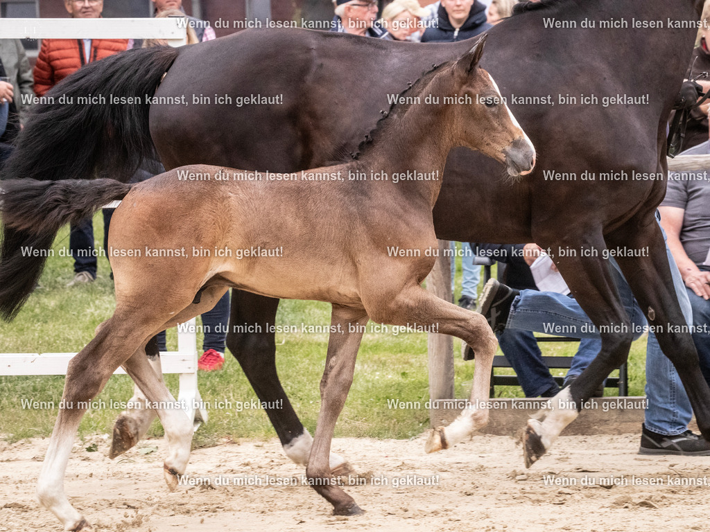 A10I9620 | photographylinaismer - Realisiert mit Pictrs.com