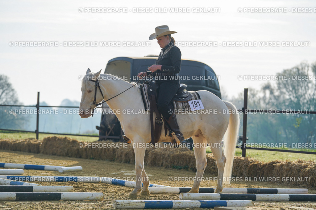 DSC00028 | Pferdegrafie