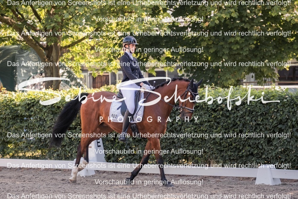 2025_05_31_DSCF3016 | People- und Tierfotografie, Imageaufnahmen, Veranstaltungsfotografie und Wandbilder aus der Natur ★ Made in Germany ✔️ Druck + Downloads ✔️ Naturfotografie in Top Qualität ★ schneller Versand, weltweite Lieferung! - Realisiert mit Pictrs.com