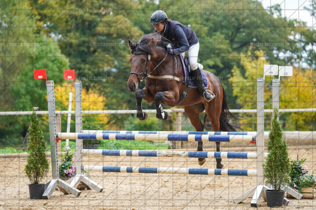 20221009-FAH08833 | Diessen am Ammersee, 2022, Dressur- und Springturnier, Reitsportbilder, Turnierfotografen Bayern, Pferdefotografen, Fotoagentur Herrmann, Turnierbilder