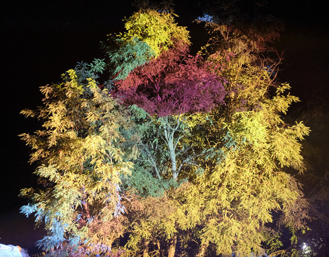 _DSF6816 copy-OzaraPT1 | blende43