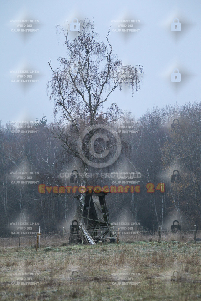 221211_0915_EV4_3740 | Sportfotografie im Rhein-Sieg Kreis, Köln, Bonn, NRW, Rheinland Pfalz, Hessen, etc. Unser Tätigkeitsfeld umfasst den Laufsport vom Volkslauf über den Marathon, Duathlon, Triathon bis zum Ultralauf wie Kölnpfad Ultra oder Schindertrail.